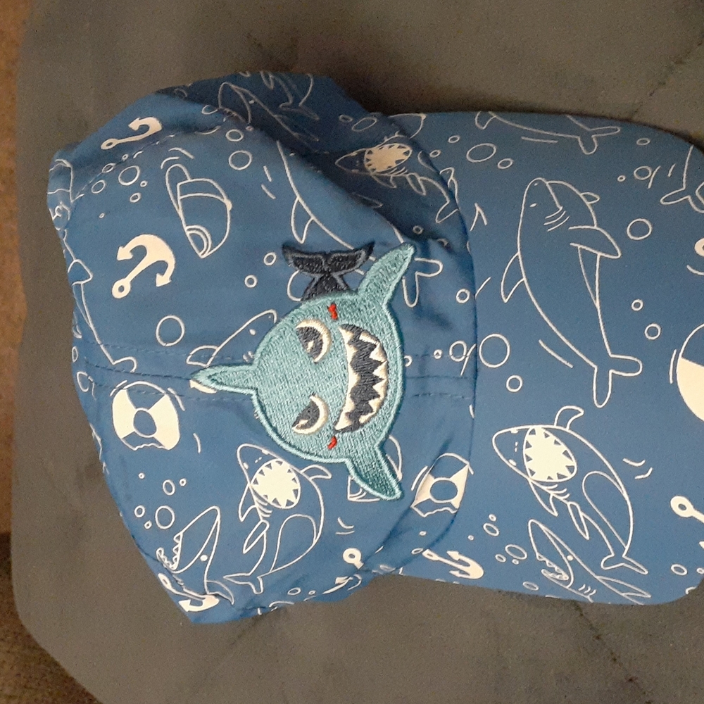 Boys Shark hat